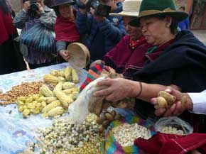 Tungurahua en Ecuador, imagen de unidad en los pueblos para la promoción turística