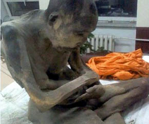 Monje momificado de 200 años fue encontrado en Mongolia. Foto: The Morning News