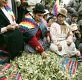 Bolivia confía que la ONU despenalice la hoja de coca