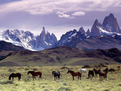 La Patagonia argentina, un destino que fascina a los europeos 
