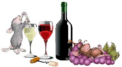 Consumo Moderado de Vino y Salud