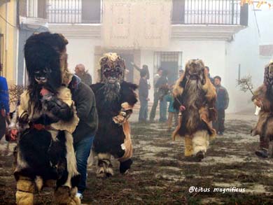 Las carantoñas de Acehuche: Fiesta, Diversión y Devoción