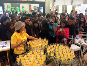 Destacada participación de Arica y Parinacota en Feria Internacional de Turismo en Bolivia