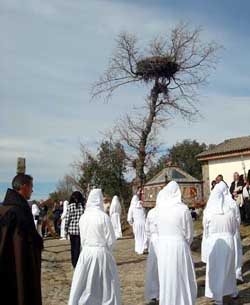 Viernes Santo En Bercianos De Aliste, Zamora