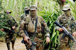 Los grupo de ex paramilitares se dedican de manera preferente al robo, la extorsión y el trafico de drogas