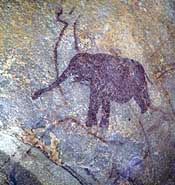 Silueta zoomorfa pintada bajo elefante, que indica ejecución anterior 