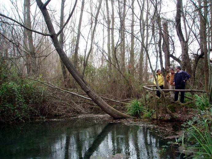 Nacimiento del río Huesna