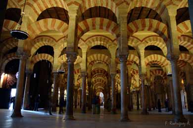 Córdoba muestra su alma en forma de floridos patios