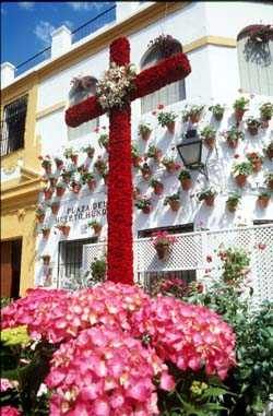 Córdoba muestra su alma en forma de floridos patios