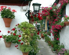 FEPET en los Patios de Córdoba