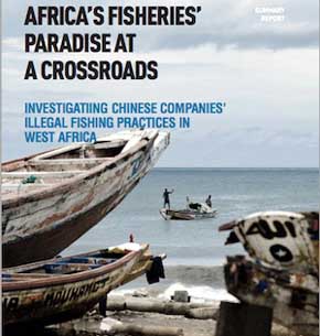 Greenpeace: pesqueros chinos expolian los mares africanos