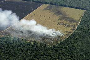 Deforestación en la Amazonia peruana