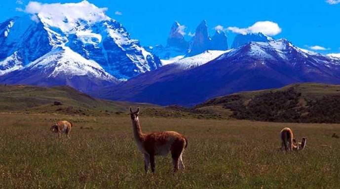 Torres del Paine, (Patagonia chilena)