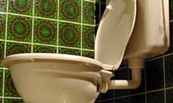 La próxima que use un baño público asegúrese de que el asiento no está cubierto de pegamento ultrarrápido