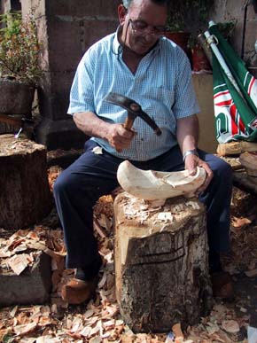 Cabuerniga, riqueza forestal y paisajística