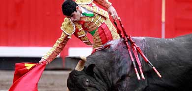 El matador de toros Alejandro Talavante. EFE/Archivo