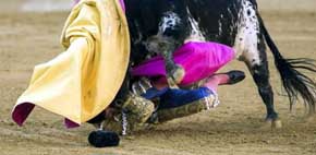 Vara, partidario de reformar la 'suerte de matar' en los toros porque 'hay un cambio en la sociedad'