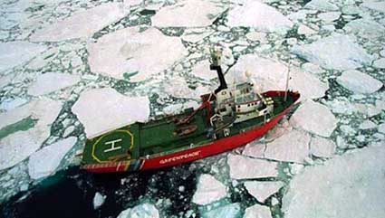 La búsqueda de petróleo altera el ecosistema ártico