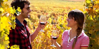 Instauran el 4 de septiembre como el Día Nacional del Vino Chileno