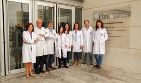 El equipo de investigación que ha participado en este trabajo. 