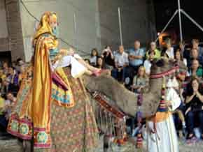 Fiestas Patronales de Moros y Cristianos. Celebración del 50 aniversario