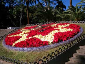 Los jardines de Santa Cruz de Tenerife serán decorados con más de 50.000 flores de pascua.