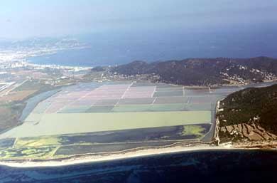 El Parque Natural de Ses Salines de Ibiza