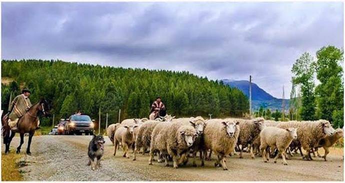 Más de ocho mil fotografías participaron en concurso que invita a descubrir Chile