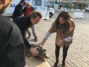 El CREMA libera a la tercera tortuga marina del año tras su recuperación en el centro