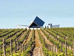 Sommos Vinos y arquitectura en Somontano