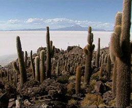 En Bolivia está la mayor reserva de Litio del planeta