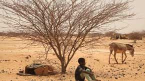 Plan International pide una respuesta urgente ante los efectos de El Niño en el Cuerno de África