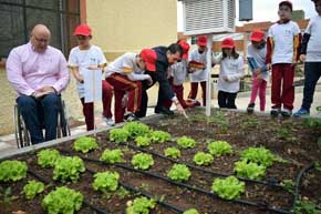 El Ayuntamiento de Santa Cruz de Tenerife pone en marcha los ‘Peque Huertos’ escolares ecológicos