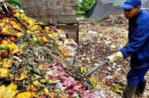 El 37 % del hambre mundial desaparecería con comida que desperdicia América Latina