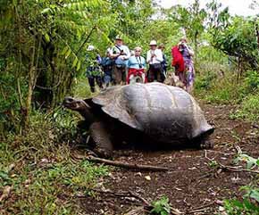 ECUADOR: Recuperación a través del Turismo.  