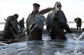 Entra en vigor primer tratado mundial vinculante contra la pesca ilegal