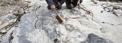 Los paleontólogos junto a las huellas de dinosaurio encontradas en Plagne, Francia