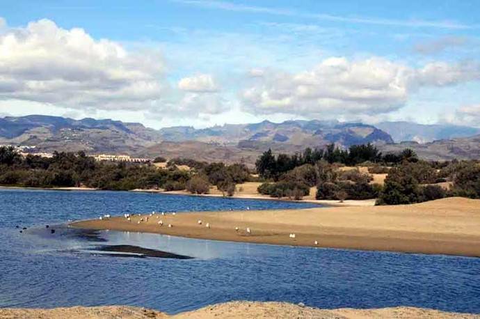 Maspalomas, Costa canaria – Diversión y descanso en el Sur de Gran Canaria