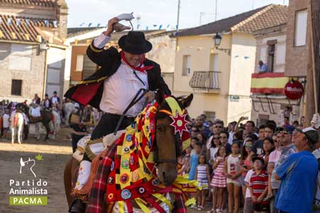 El Carpio de Tajo (Toledo) celebró este domingo 25 de julio su tradicional “carrera de gansos” 