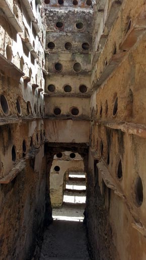 Las palomas de San Ambrosio