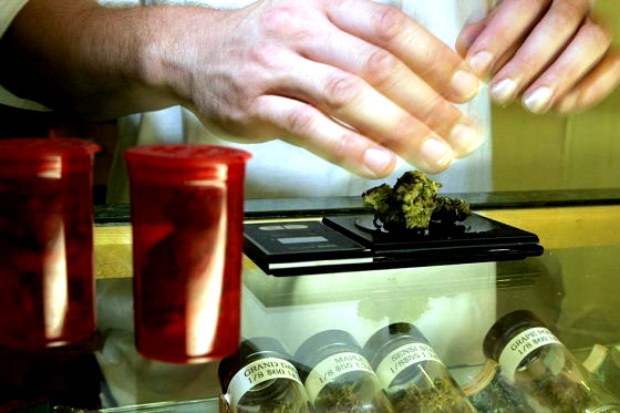 En Uruguay advierten que producción de marihuana no alcanzará a cubrir demanda