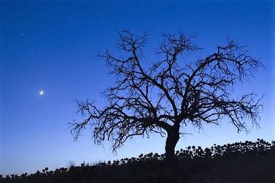 El cielo…Un Destino En El Mundo…