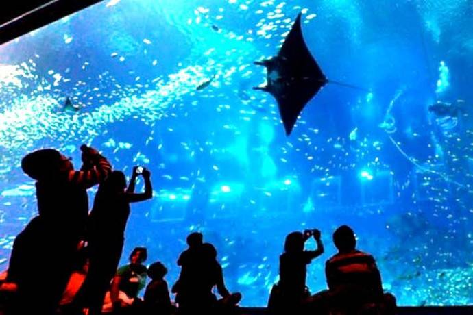 Inauguran en Río de Janeiro el acuario más grande de América Latina
