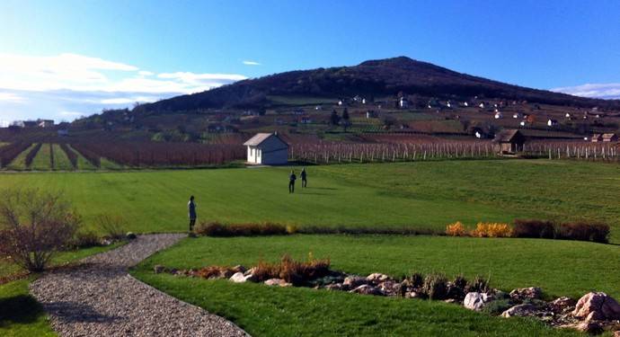 Vinos de Hungría, mucho más que el mítico Tokaj