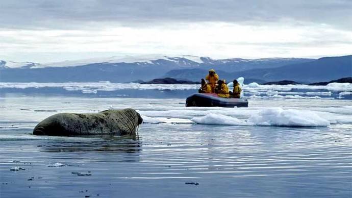 El misterioso sonido marino que ha puesto en alerta al ejército de Canadá