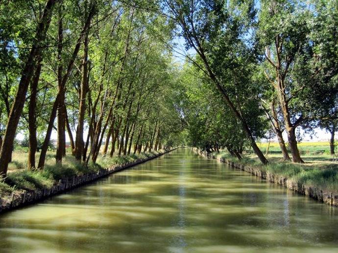 El agua es, curiosamente, gran protagonista en la Ruta del vino Cigales  