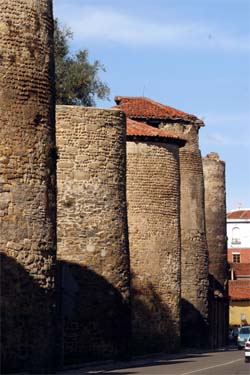 León muestra su herencia romana, sus reservas de la Biosfera y el Camino de Santiago en INTUR