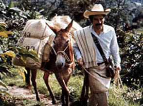 Eje cafetero de Colombia, en lo grande de las rutas de turismo