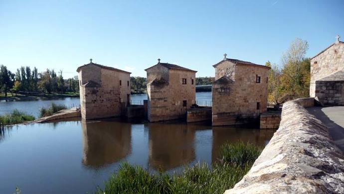 Zamora, capital mundial del Románico