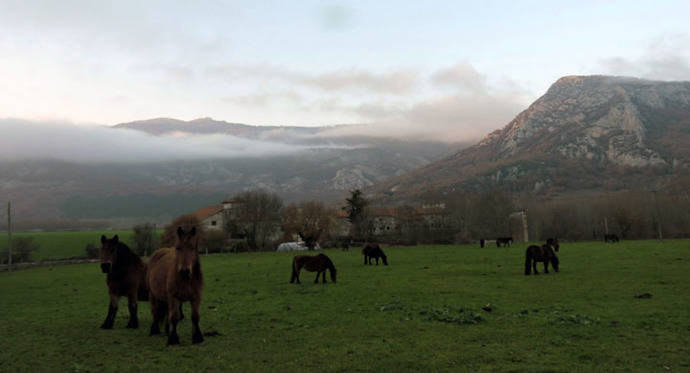 El Valle de Sakana, viaje a la Navarra profunda